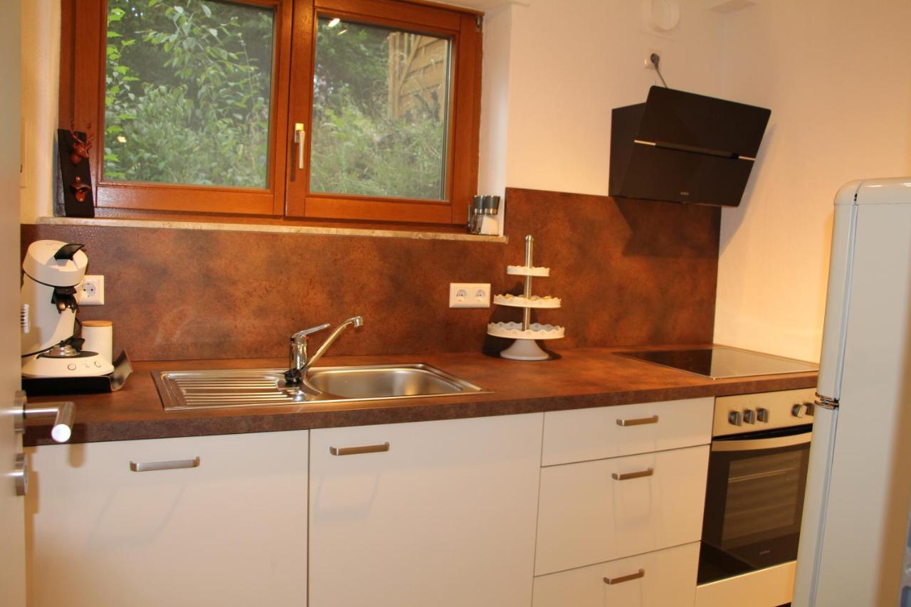 Waldblick Apartment Байерсброн Екстериор снимка